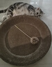 疯狂的主人 猫抓板窝超大号猫玩具猫爪板猫抓盆不掉屑猫窝碗形圆形瓦楞纸 实拍图