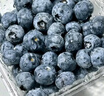 怡颗莓Driscoll's当季新鲜云南蓝莓14mm+ 2盒装 约125g/盒 京东超市水果 实拍图