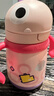 babycare儿童保温杯婴儿宝宝吸管水杯霸王龙不锈钢保温杯300ml-新旧款混发 实拍图