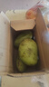 【双十一热卖】玉芒水果芒果新鲜上市 带箱2斤【单果300g+】 实拍图
