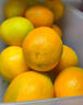 京觅 江西赣南脐橙5斤净重橙子大果170g起纽荷尔甜橙新鲜水果源头直发 实拍图