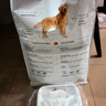 皇家狗粮 金毛成犬狗粮 犬粮 宠物大型犬 GR25 全价犬粮 ≥15月 12KG 实拍图
