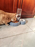 甜浪海猫碗双碗自动喂食器不锈钢狗盆幼猫吃饭喝水防打翻饮水机宠物食盆 实拍图
