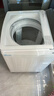小天鹅（LittleSwan）波轮洗衣机全自动 12公斤大容量 小乌梅轻奢版【TB12VE20DW】水魔方防缠绕 家电国家补贴20% 实拍图