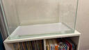 坤宁王金晶超白玻璃鱼缸60造景裸缸客厅桌面溪流缸一体缸水族箱60*30*35 实拍图