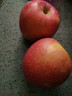 京鲜生山东烟台红富士苹果5斤装单果80-85mm新鲜水果 源头直发包邮 实拍图