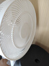 容声（RONGSHENG）电风扇家用落地扇交流定频电风扇轻音风扇立式台地两用大风量节能摇头风扇低噪风扇RS-FX2401AH 实拍图