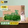 喜帅烘干紫花苜蓿草 幼兔兔粮牧草干草龙猫荷兰猪磨牙饲料毛重1kg 实拍图
