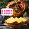 佳农 黑钻菠萝1粒装 巨无霸 菲律宾凤梨 净重3.6斤 生鲜水果 包邮 实拍图