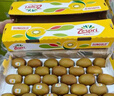 佳沛（zespri）新西兰 新果季 阳光金奇异果30-33粒原箱单果重约101-124g 猕猴桃 实拍图