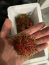 优味集【顺丰/JD速发】进口红毛丹越南新鲜水果毛荔枝甜红牡丹整箱送礼 1斤净重 品质大果（单果15-20g） 商超级金果 实拍图