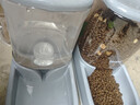 华元宠具超大容量宠物自动喂食器狗狗饮水机狗盆猫碗喂水猫咪投食器套装 实拍图