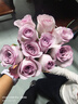 京东鲜花产地仓严选玫瑰颜色随机家庭插花随机玫瑰10枝源头直发 实拍图