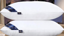 五星级酒店同款枕头枕芯舒适睡眠专用一对家用学生宿舍不塌陷枕头 白色经典款【高枕】 【一对装+枕套】 实拍图