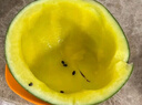 京鲜生 特小凤黄肉西瓜 1粒 单果2-3斤 生鲜水果 实拍图