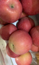 京鲜生 山东栖霞红富士苹果精品12粒 单果190g-240g  水果礼盒 实拍图