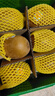 佳沛（zespri）新西兰阳光金果6个装巨大果单果144-175g水果猕猴桃源头直发 实拍图