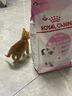 皇家宠物猫粮 幼猫猫粮K36-适用于12月龄50g*3 实拍图