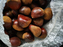 【东东农场专供】25年丹东新板栗生板栗炒菜专用新鲜蔬菜生鲜 25年新货 5斤 送栗爪 实拍图