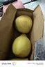 超值黄皮葡萄柚红心蜜柚柚子爆汁新鲜水果酸甜可口久雅 红心蜜柚4-5斤（2-3枚装） 实拍图