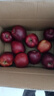京鲜生 甘肃天水花牛苹果 又大又红 净重6斤 单果240g以上 生鲜水果  实拍图