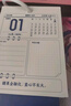 南国书香2026年挂历蛇年创意日历计划表墙贴自律打卡计划表办公考研手撕大挂历年历记事小台历2025年月历 实拍图