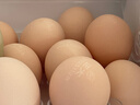 正大食品 正大 鲜鸡蛋礼盒装30枚 Plus联名款 3.18斤 源头直发 实拍图