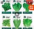 北蔬 蔬菜种子种苗大全生菜香菜菠菜秋季阳台菜籽 6种叶菜类蔬菜种子 实拍图
