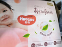 好奇（Huggies）铂金装小桃裤成长裤XL96片(12-17kg)加大号尿不湿【透爽散热】 实拍图