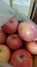 甜醉了 烟台苹果栖霞红富士新鲜水果生鲜山东特产脆甜整箱平果礼盒礼品 红富士净重4.5斤75-80mm 实拍图