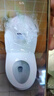 恒洁（HEGII）京东联名马桶S3 家用虹吸新版马桶513小户型坐便器DCF0300PT-305 实拍图