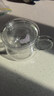 富光花茶杯透明茶杯内胆茶水分离杯办公室玻璃杯子水杯350ml 实拍图