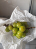 京鲜生阳光玫瑰香青提净重3斤装单果10g葡萄/提子 生鲜水果 源头直发 实拍图