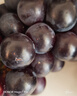 云南夏黑葡萄无籽黑提子黑加仑巨峰孕妇当应季新鲜水果现摘当季 云南建水夏黑葡萄4斤 实拍图