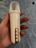 飞利浦（PHILIPS） TAS2508蓝牙音响话筒K歌居家麦克风音响一体式便携家庭用ktv音箱男女儿童生日礼物国家补贴 实拍图