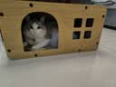 梵都宠舍猫抓板瓦楞纸双层设计猫玩具猫房子猫窝 实拍图