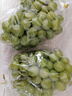 京鲜生 阳光玫瑰葡萄 青提2-2.5斤装 单果约10g 生鲜水果 实拍图