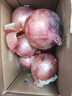 京鲜生 甘肃紫红皮洋葱净重5斤单果200g+ 现挖新鲜蔬菜 源头直发包邮 实拍图