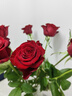京东鲜花玫瑰花红色玫瑰10枝如意基地鲜切花水养插花生活花束送礼源头直发 实拍图