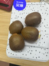 佳沛（zespri）绿奇异果 优选大果12粒单果约113-135g  水果 猕猴桃 实拍图
