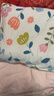 洁丽雅（Grace）枕套A类100%全棉 3A抗菌面料 吸汗枕头套 半夏一对装 48*74cm 实拍图