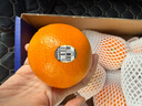 新奇士（Sunkist） 澳洲黑标晚熟脐橙4斤礼盒装 单果180g起 生鲜水果礼盒 晒单实拍图