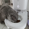 霍曼（Homerun）宠物智能自动喂食器猫粮狗粮定时猫咪自动投食机陶瓷单碗增高版 实拍图