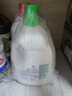 滴露（Dettol）衣物除菌液 松木3L 内衣儿童衣物杀菌除螨 衣服洗衣衣物消毒液 实拍图