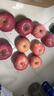 京鲜生山东烟台红富士苹果 5斤装 果径85mm起 新鲜水果 源头直发 实拍图