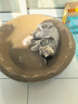 疯狂的主人猫抓板窝碗形大号猫抓盆不掉屑猫窝宠物猫玩具瓦楞纸猫爪板 实拍图