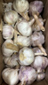 京鲜生山东金乡大蒜带皮新鲜干蒜净重3斤单果4.5cm起源头直发包邮 实拍图