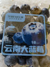 云南高山大蓝莓125g 18mm 实拍图