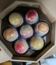 金炉子月饼高档礼盒1058g广式燕窝花胶茶叶中秋节日轻奢礼品伴手礼物 实拍图