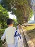 嘟嘟家【7A抑菌】儿童打底衫半高领秋装男童上衣德绒秋款女童长袖T恤潮 杏色 90 实拍图